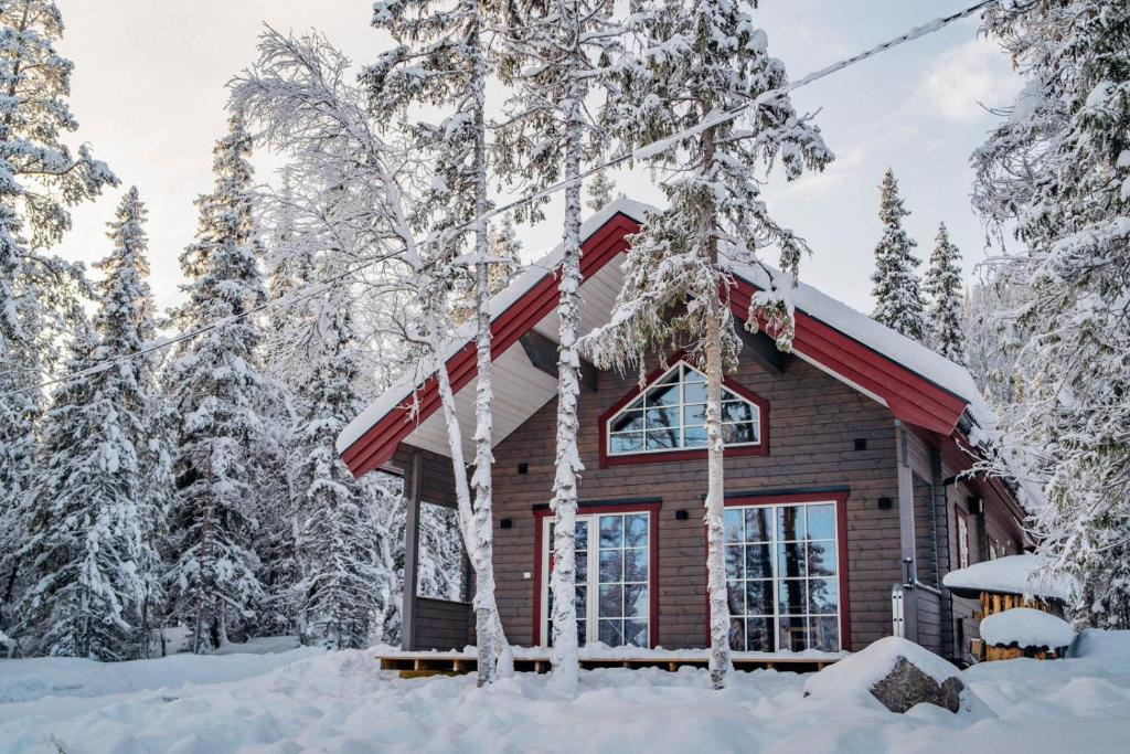菲奈斯达伦Kåvanstugan Funäsdalen的雪中树林里的小木屋