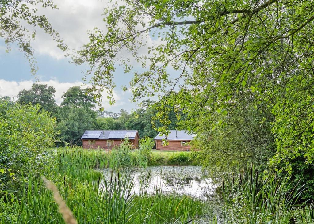 Aston InghamFord Farm Lodges的湖中种有树木的红谷仓