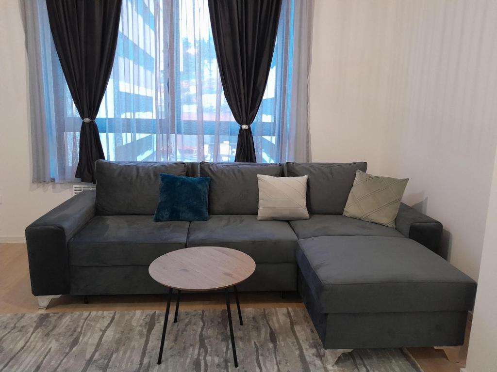 别拉什尼察Apartment Bjelasnica DAH的客厅配有沙发和桌子