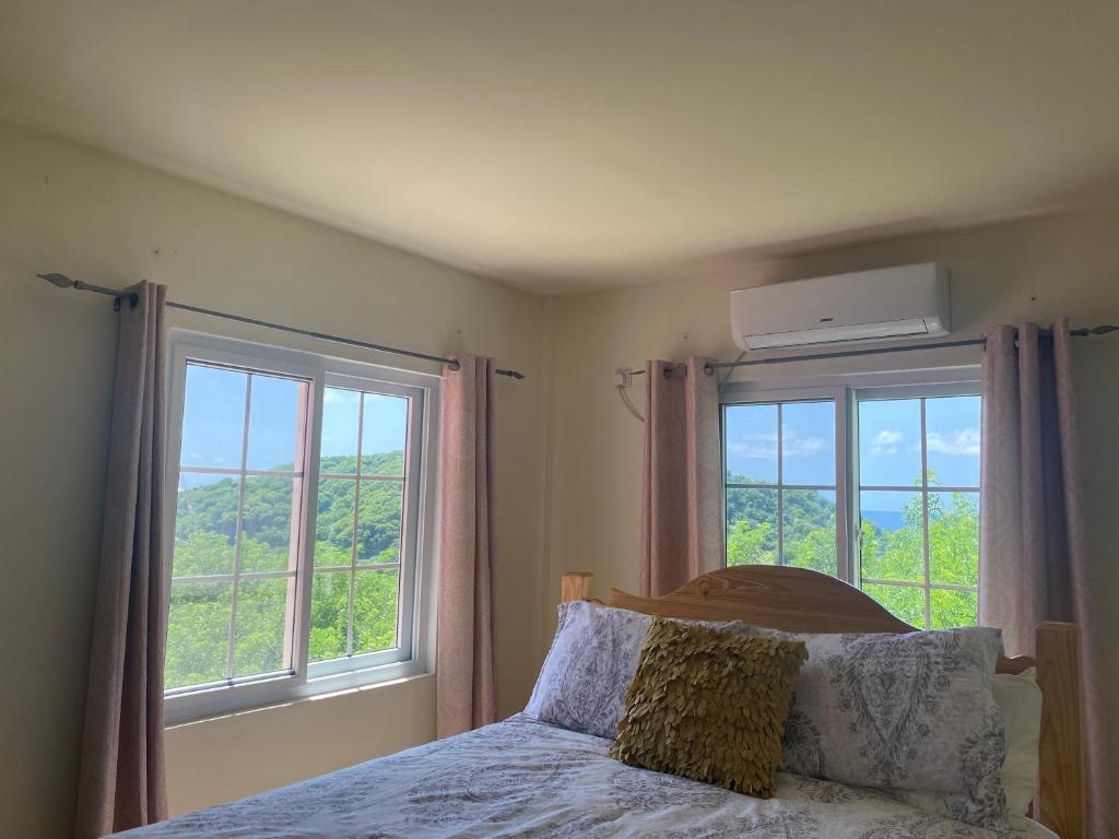 金斯敦Coral Cottage of Prospect的一间卧室设有2扇窗户和1张带枕头的床