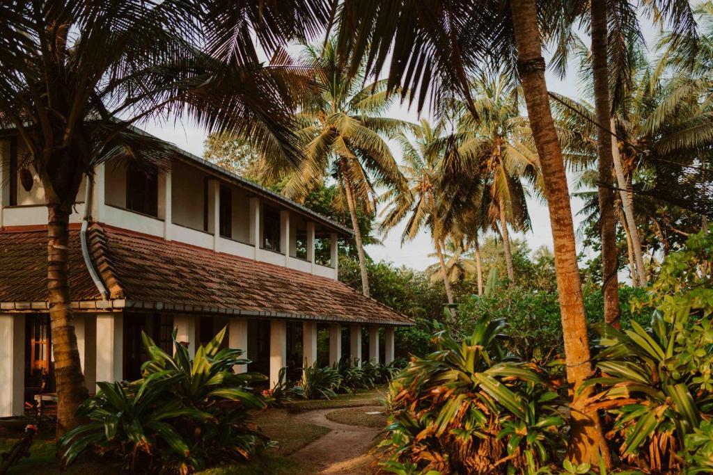 贝鲁沃勒Amuura Beach Villa的一座棕榈树建筑