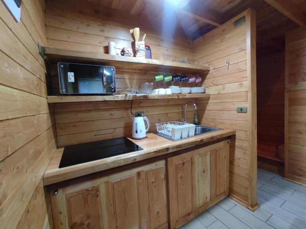 里坎雷Cabaña Los Alerces的小屋内的厨房配有水槽和微波炉