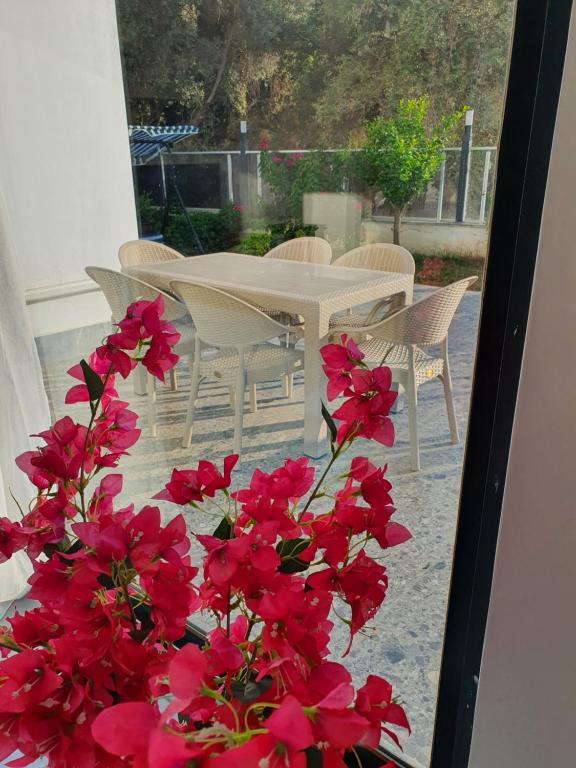 阿拉尼亚royal park的窗户上摆放着红色鲜花的桌椅