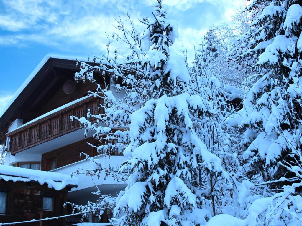 卡普尔Ferienhaus Dias的房子前面的雪覆盖的树