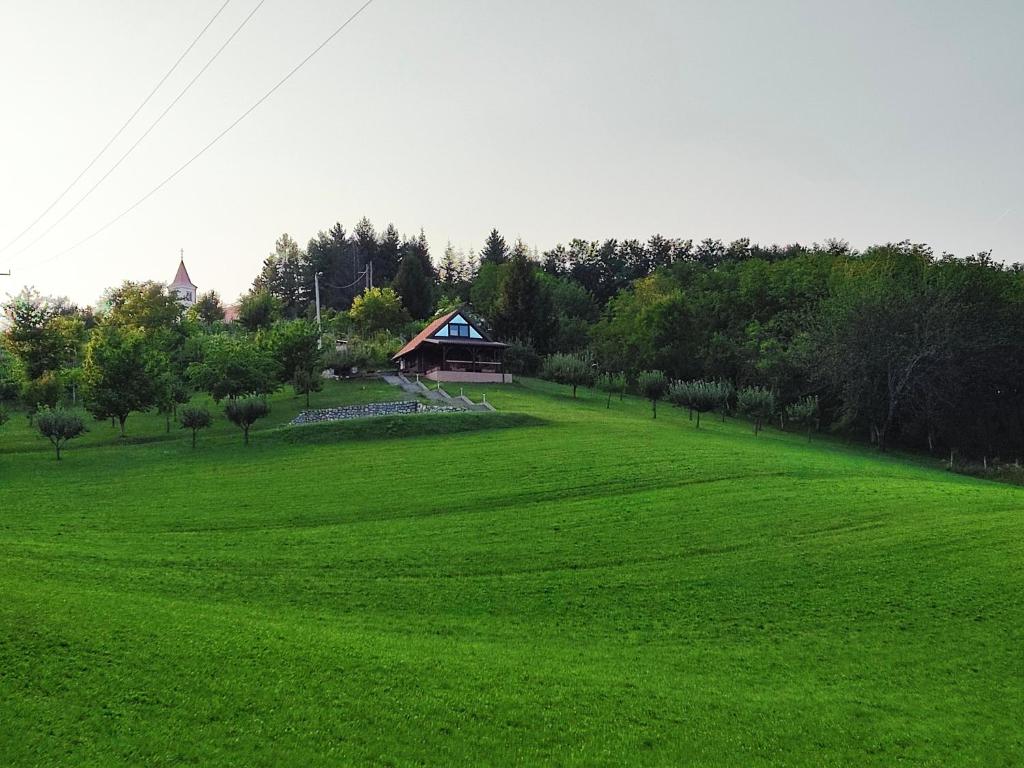 OzaljHoliday house Panorama的一片绿地,远处有一座房子