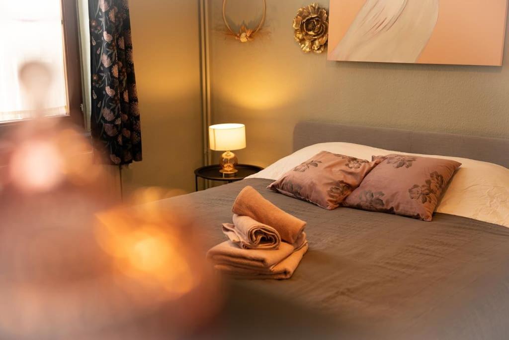 蒙斯Camelia, un charme Montois的一间卧室配有带两个枕头和一盏灯的床
