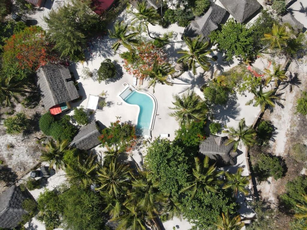 米查维Michamvi Spirit Lodge的享有棕榈树游泳池的顶部景致