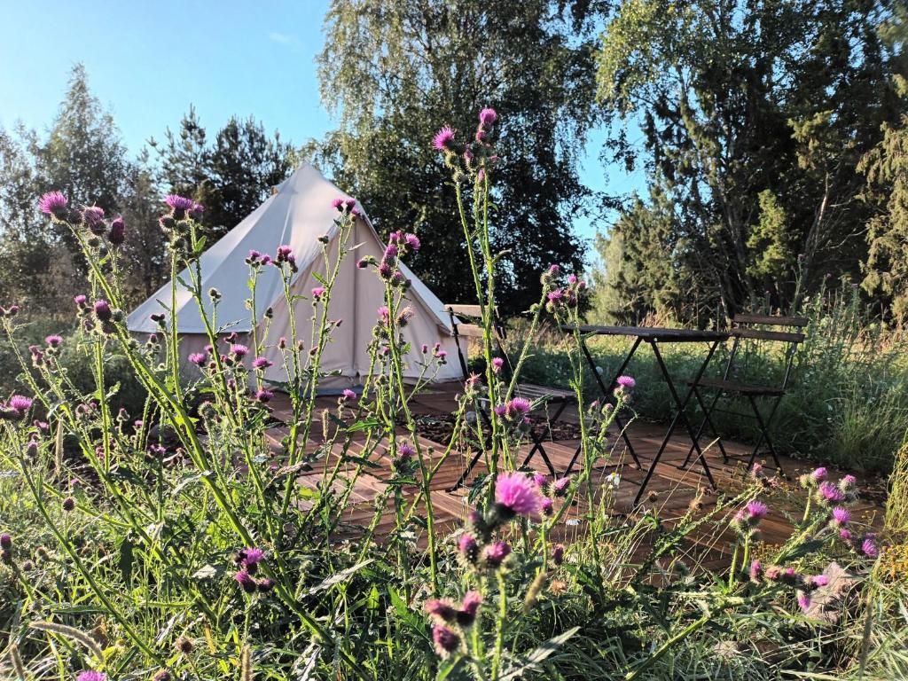 LaitilaGlamping Kiveinen的花田中的白色帐篷