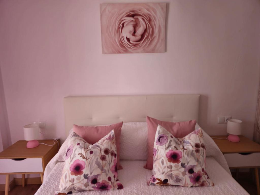 艾姆布里亚布拉瓦Apartamento El olivo的一间卧室配有带粉红色枕头和绘画的床。