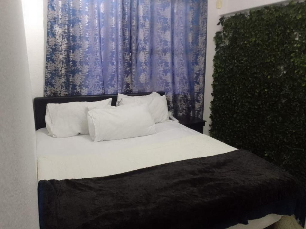 约翰内斯堡Hotel Amor Rosebank的一张带白色枕头和蓝色窗帘的床
