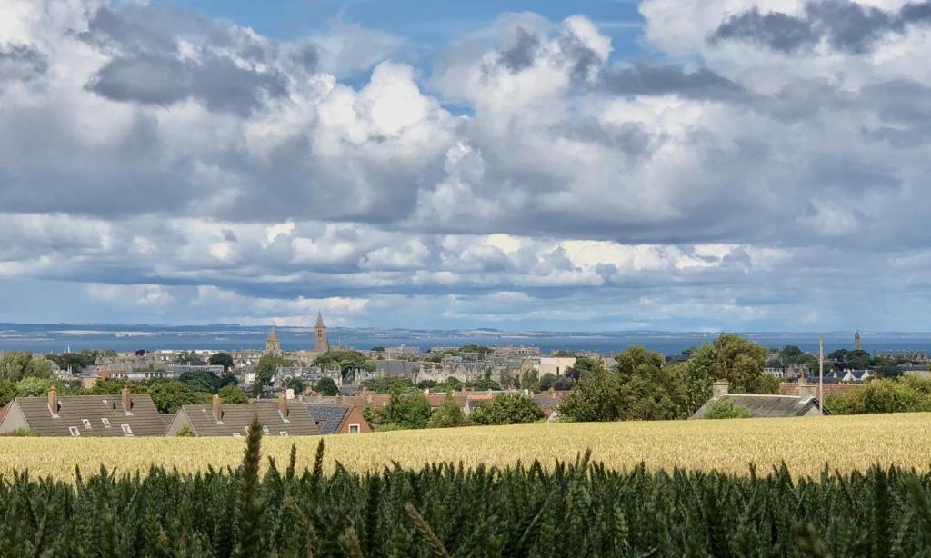 圣安德鲁斯Home with superb view of St Andrews的一片草场,以城市为背景