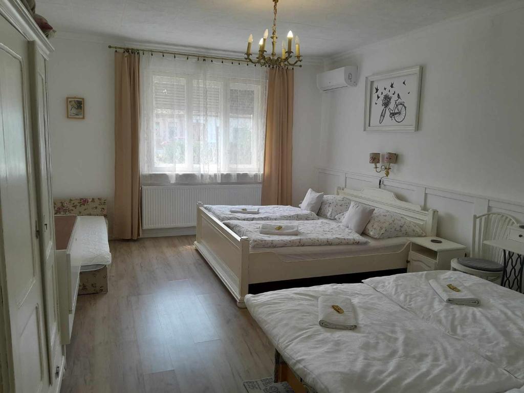 莫雄马扎尔古堡Edina Vintage Vendégház的一间卧室设有两张床和窗户。