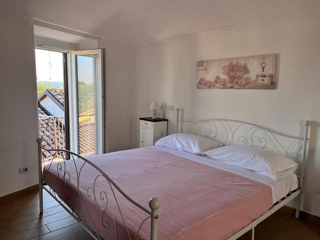 Ozzano MonferratoLa Casetta di Treville的一间卧室配有一张带粉色毯子的床和窗户。