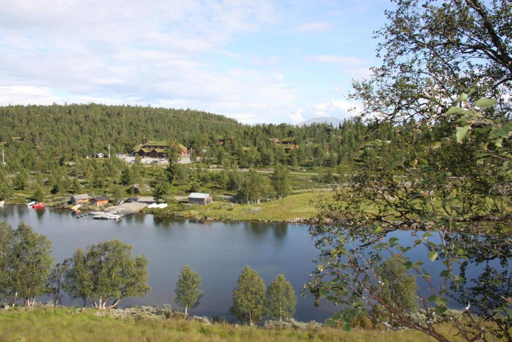 Randsverk勒蒙耶斯图海特酒店的享有树木和房屋的湖泊美景。