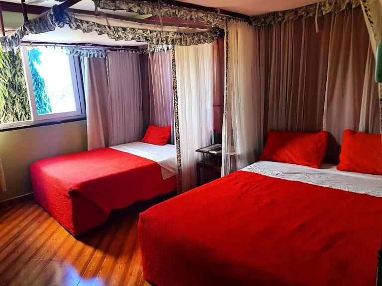 姆特瓦帕Hotel Basilea Mtwapa的一间卧室设有两张带红色床单的床和窗户。