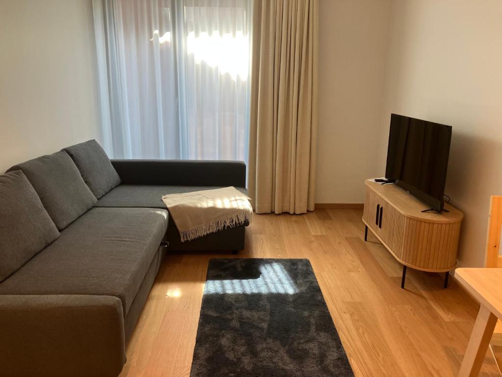 塔尔图Small apartment near city centre的带沙发和平面电视的客厅