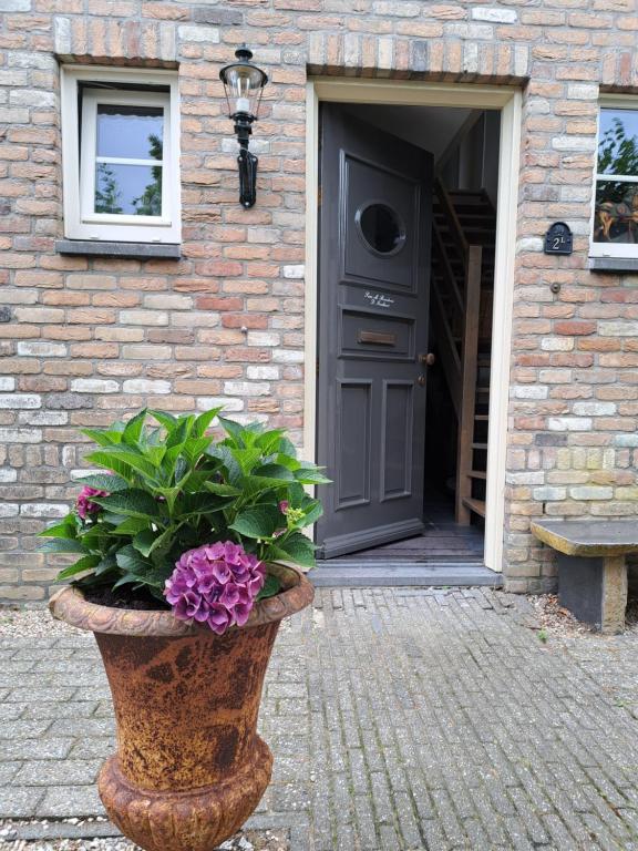 WaardeB&B Waardevol, Julianastraat 2L的门前锅里的植物