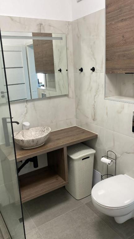 弗洛雷什蒂Columna residence的一间带水槽、卫生间和镜子的浴室