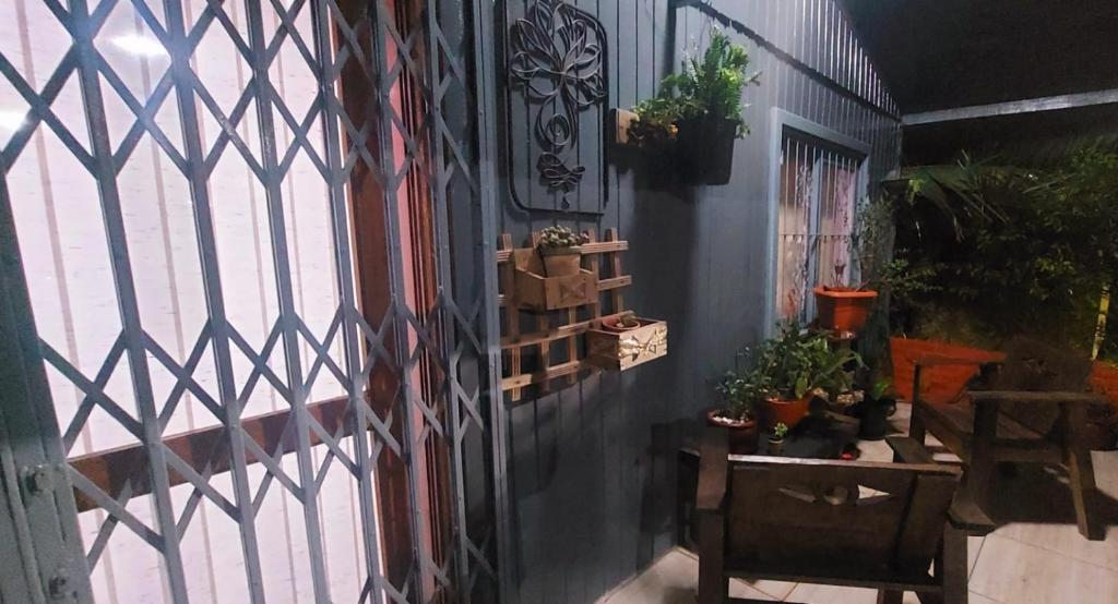 卡内拉Casa em Canela RS的墙上有盆栽植物的房间