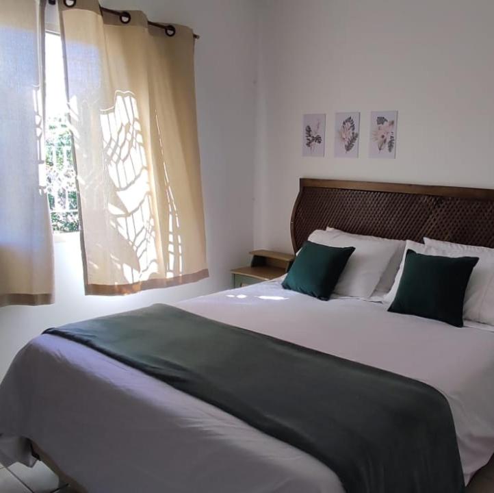 戈亚斯州上帕莱索Casa central aconchegante的一间卧室配有一张带绿色和白色枕头的大床