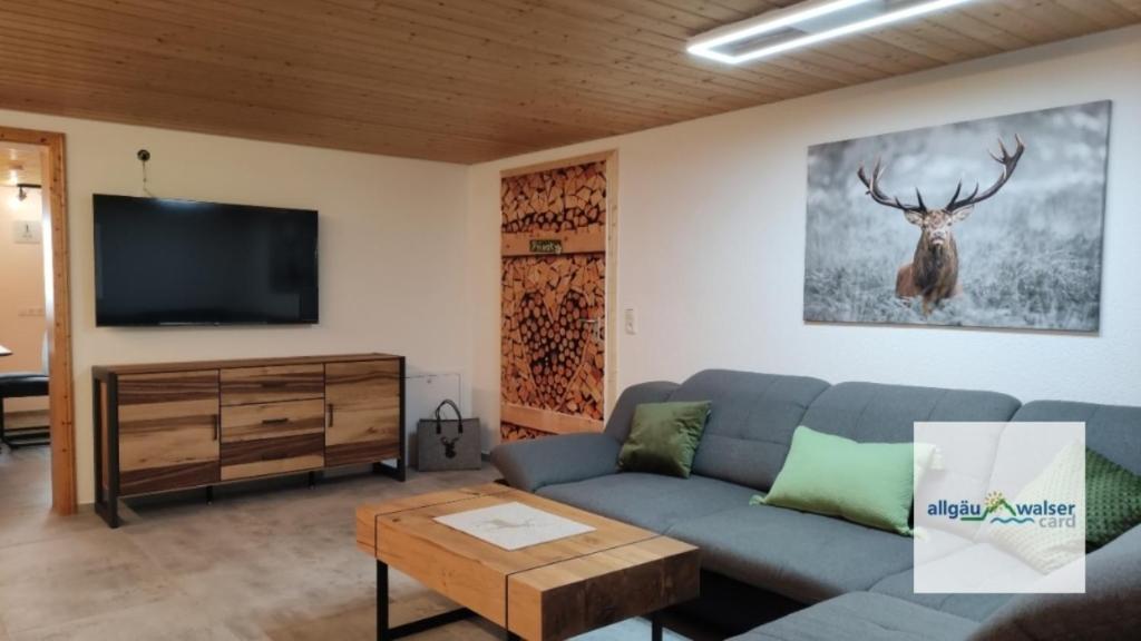 上罗伊特FeWo Apfel-Stadl, Oberreute的客厅配有蓝色的沙发和电视