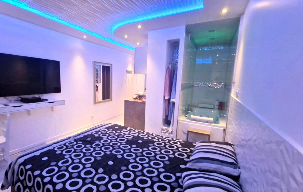 布隆Bron centre appartement meublé avec jacuzzi的一间卧室设有一张床、一台电视和一个窗口。