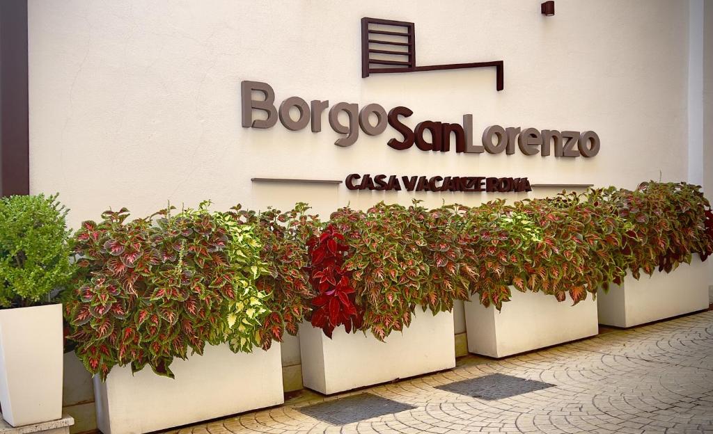 罗马Borgo San Lorenzo Roma的商店前一排盆栽植物