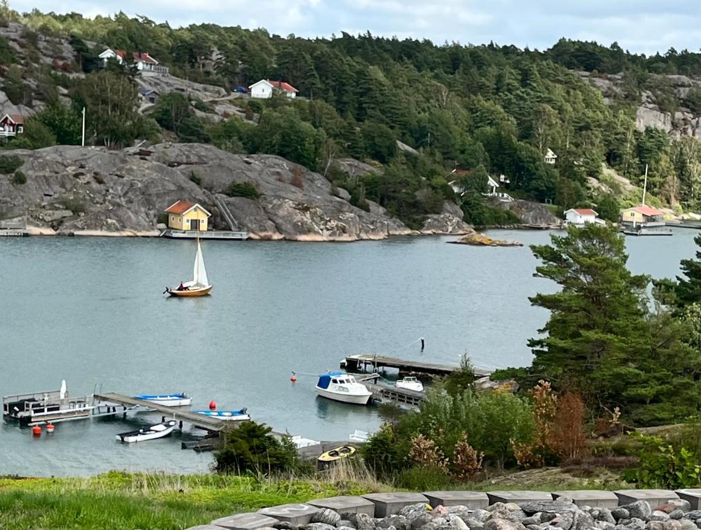 HjältebySea view chalet的帆船停靠在湖面上的码头