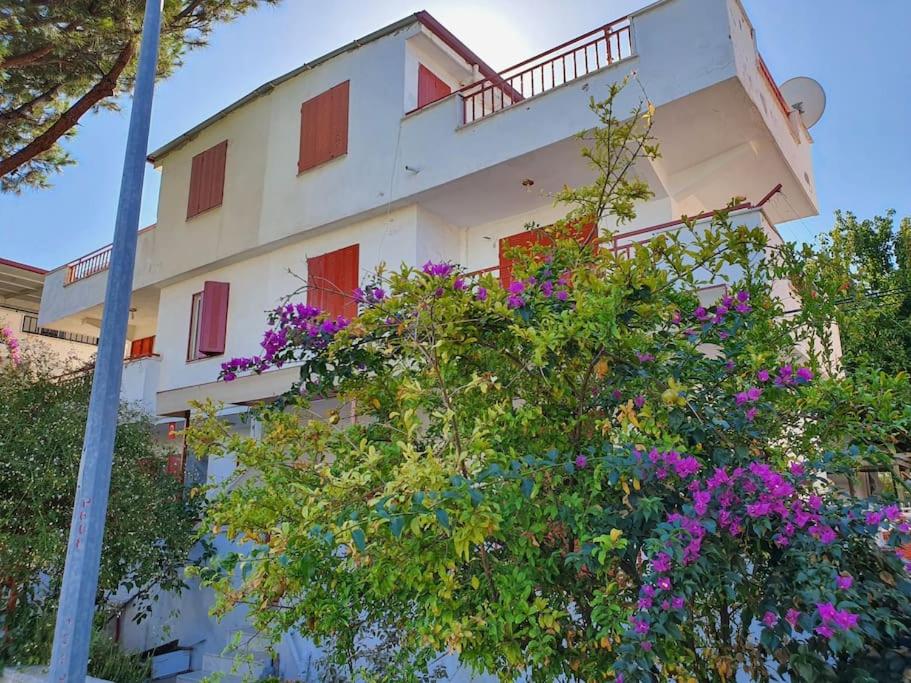 库萨达斯A Vacation House 60 m. To Seashore的白色的建筑,有红色的窗户和紫色的鲜花