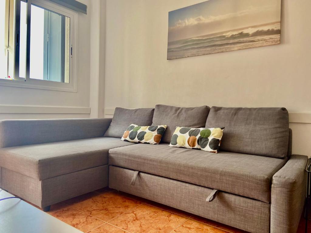 阿里纳加Apartamento Allegra的客厅里设有一张灰色沙发,客厅里设有窗户