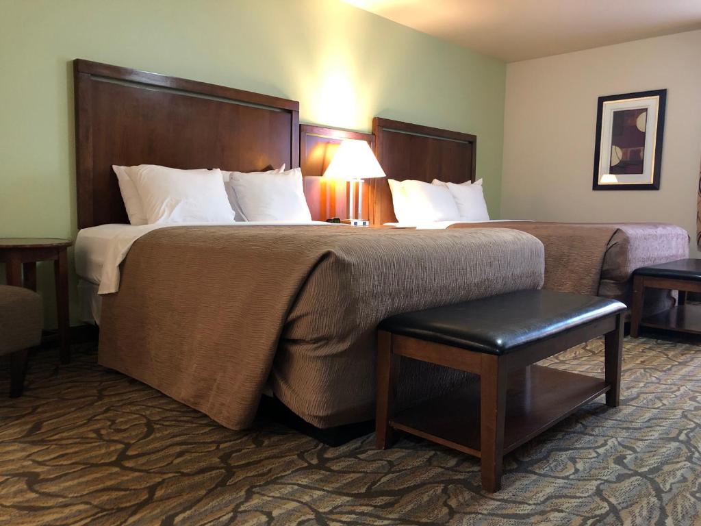安克雷奇安克雷奇阿斯彭套房酒店的酒店客房带一张大床和一把椅子