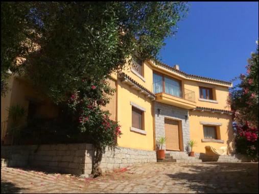 奥尔比亚Venti di Vacanza - Levante & Grecale的前面有一棵树的黄色房子