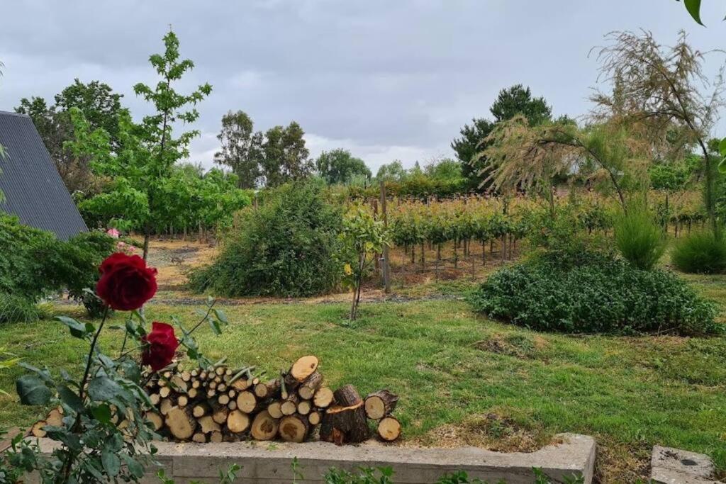RaucoCabaña de huéspedes en un microviñedo familiar的花园,花园中堆满了木柴和玫瑰