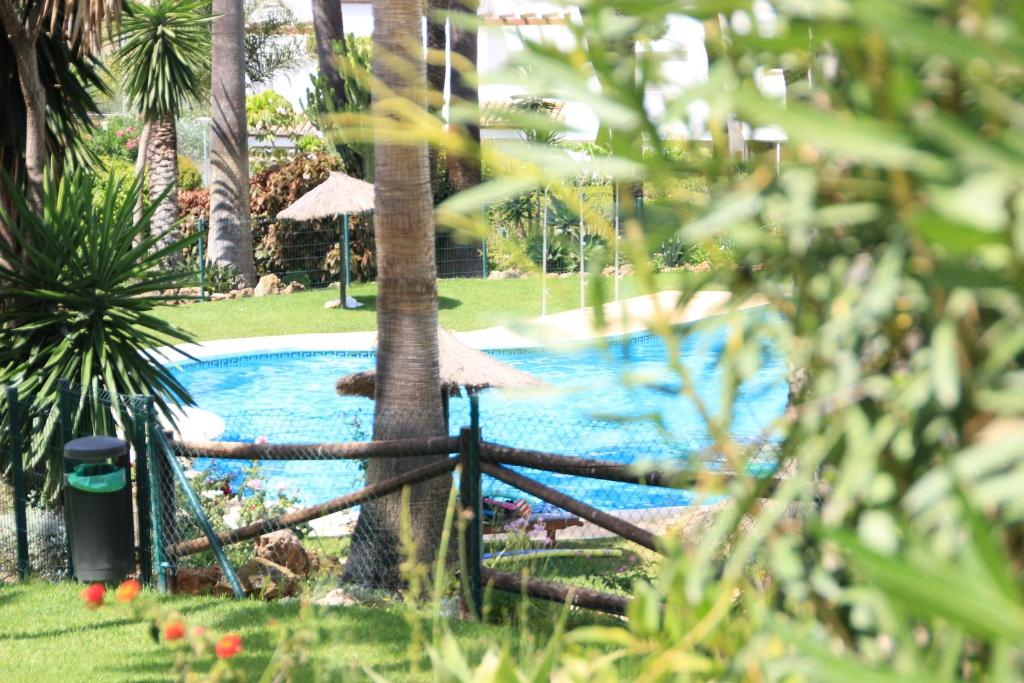 EsteponaChalet adosado en urbanización con piscina的棕榈树公园内的游泳池