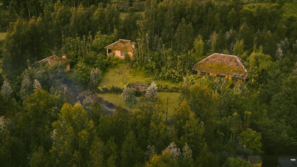 KinigiSambora Kinigi的森林中房屋的空中景观