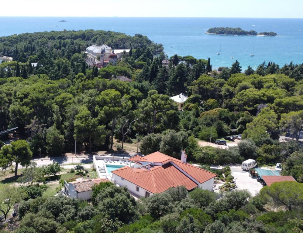 罗维尼Villa Salteria 3, pool, private territory, pinery的树木和水景房屋的空中景观
