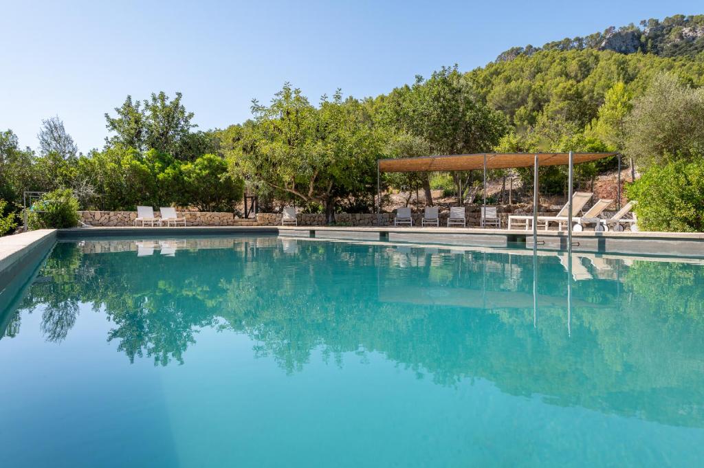 略塞塔艾格特斯莫费力莫斯酒店的一座带椅子和树木的游泳池