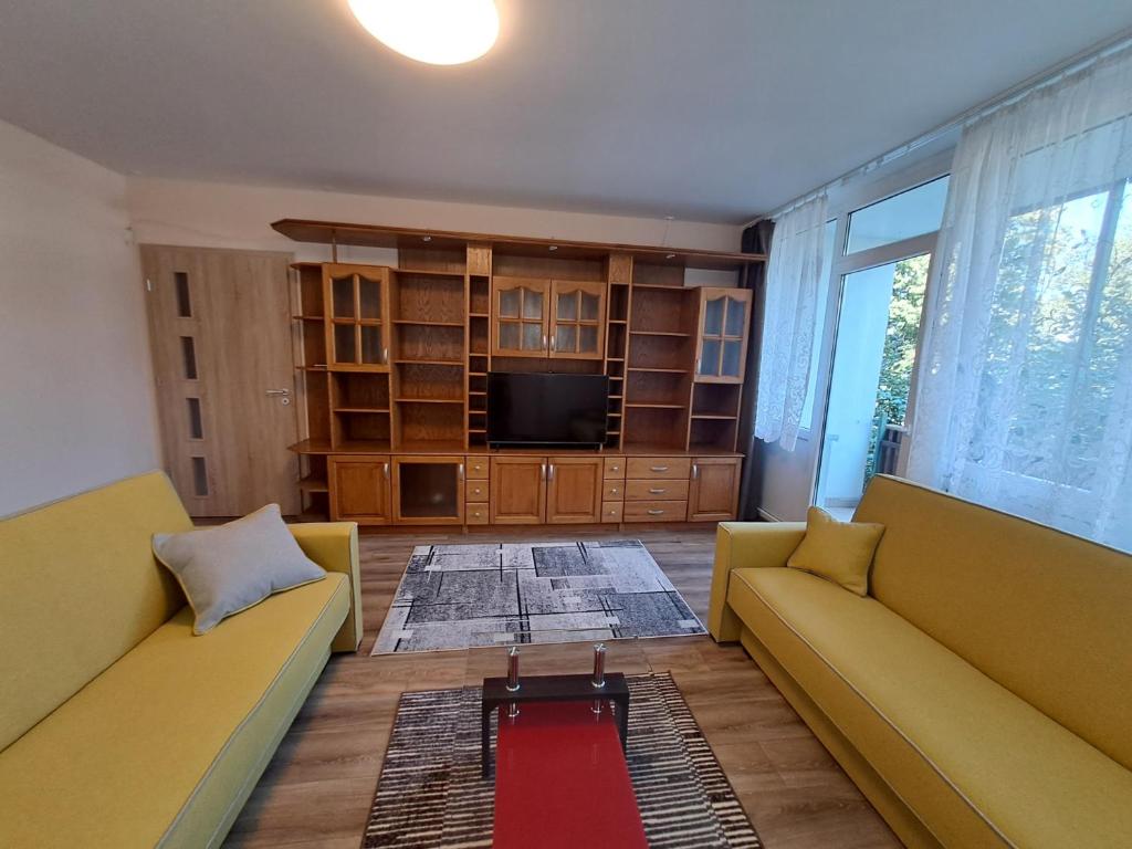 科马罗姆Kaptár lakás的客厅配有两张沙发和一台电视机