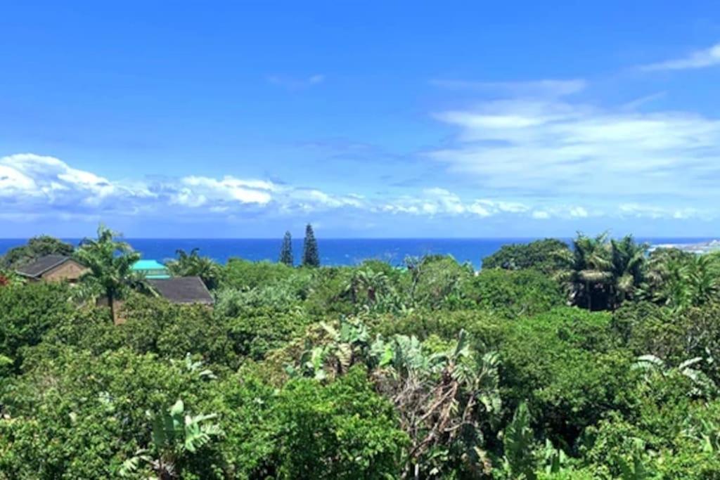 爱德华港Big Fish Seaside Cottage, Sleeps 10 Guests in 5 Bedrooms的从森林中欣赏到海洋美景