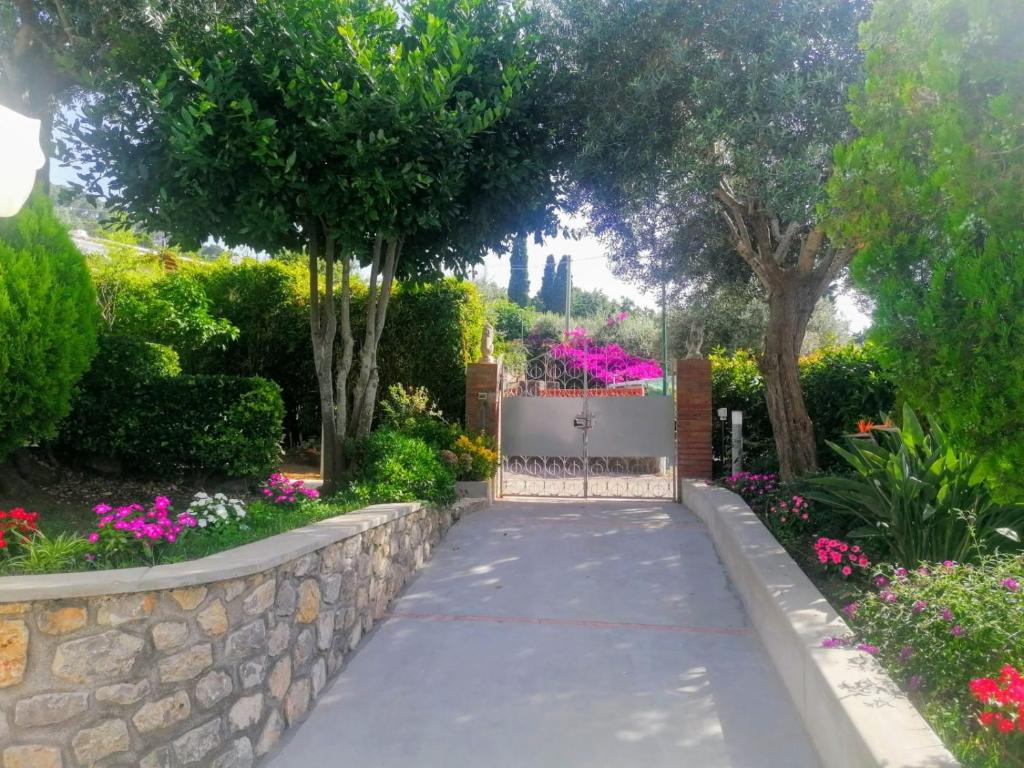 阿纳卡普里La Casa di Pitti的花草树木花园中的步道
