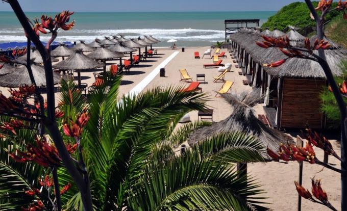 马德普拉塔Casa zona sur mar del plata的海滩上有许多遮阳伞和椅子,还有海洋