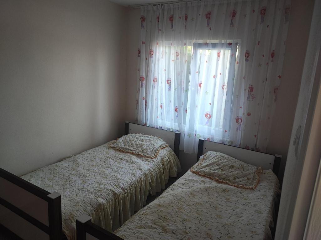 特拉布宗Hamsiköy Merkez Daire的带窗户的客房内设有两张单人床。
