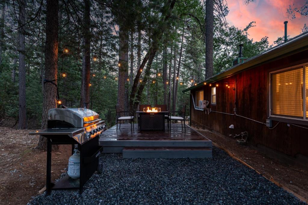 普莱瑟维尔Nature's Nook - Blissful Cabin in the Woods的小屋设有烧烤架和树林中的桌子