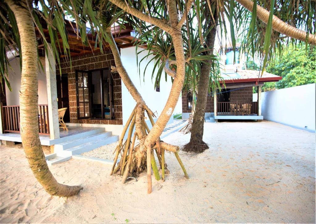 希克杜沃Sea Shell Villa Hikkaduwa 2 Separate Cabanas Ocean Front Villa的一群棕榈树在一座建筑前