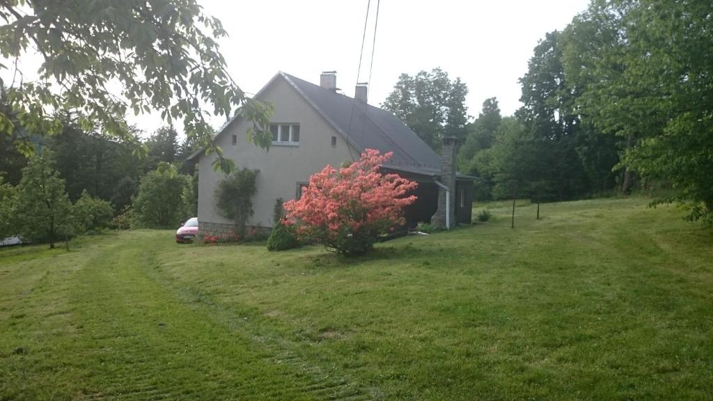 切拉德纳玛鲁舒卡草房的院子里有红树的白色房子