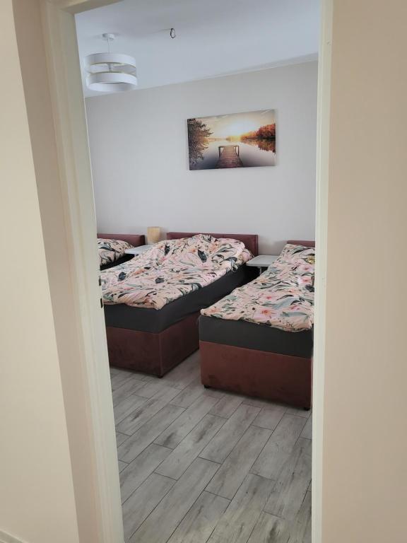 日拉尔杜夫Zestaw rodzinny的小型客房的两张床,配有镜子