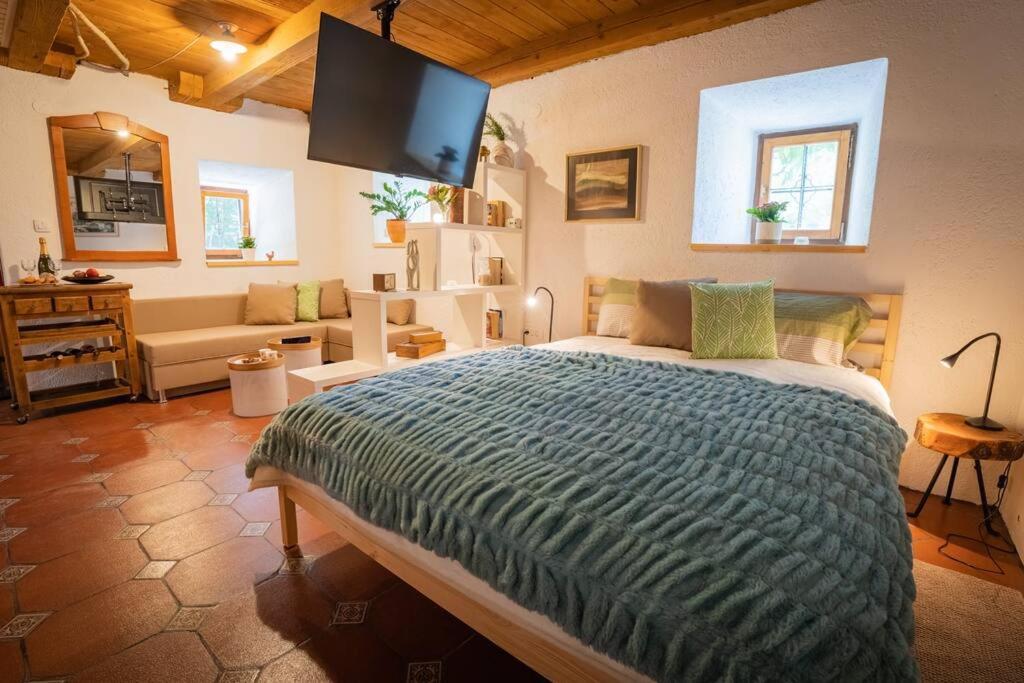 奥斯尼卡Studio Apartment Pr' Mirotu的一间卧室设有一张床和一间客厅。
