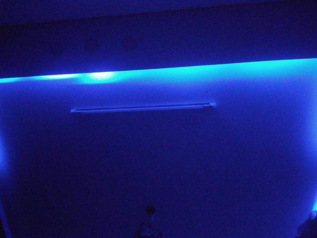 Camp M & M的暗室,天花板上灯亮蓝色