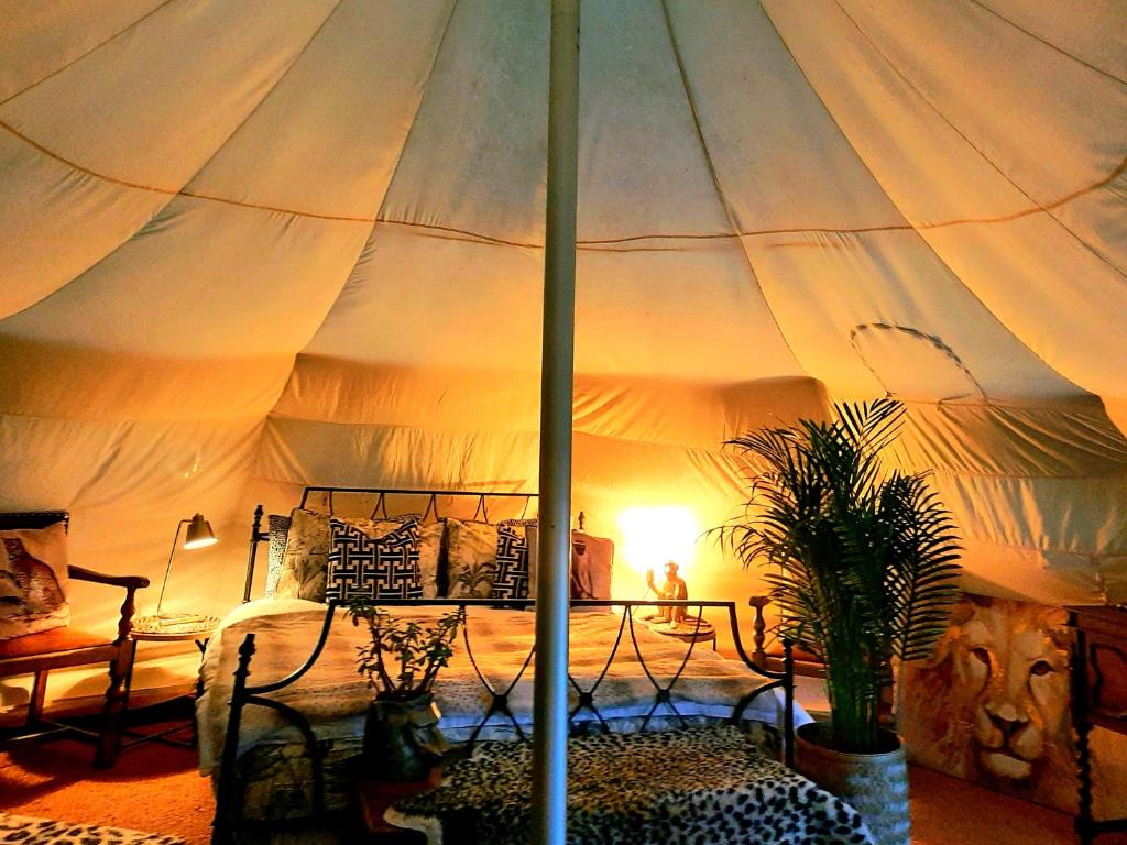 CawstonWild Retreat的一间卧室,配有带床和植物的帐篷
