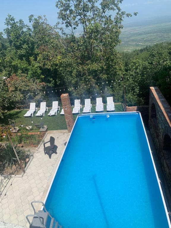 西格纳吉赞达艾什威利旅馆的一个带躺椅和树木的蓝色游泳池